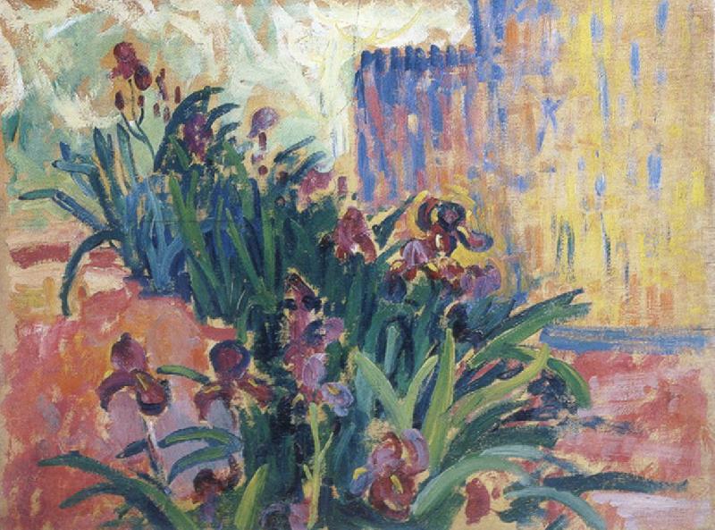 Paul Signac irises Norge oil painting art